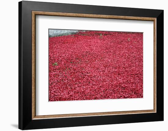 'Blood Swept Lands and Seas of Red', Tower of London, 2014-Sheldon Marshall-Framed Photographic Print