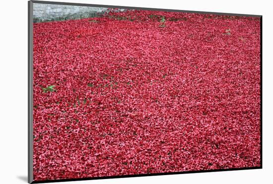 'Blood Swept Lands and Seas of Red', Tower of London, 2014-Sheldon Marshall-Mounted Photographic Print