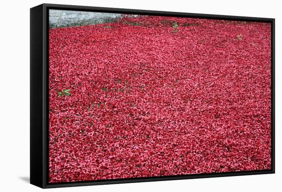 'Blood Swept Lands and Seas of Red', Tower of London, 2014-Sheldon Marshall-Framed Stretched Canvas