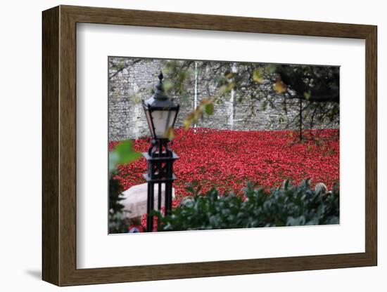 'Blood Swept Lands and Seas of Red', Tower of London, 2014-Sheldon Marshall-Framed Photographic Print