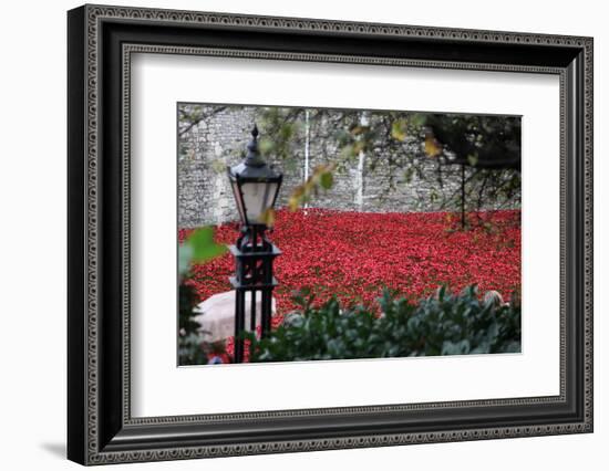 'Blood Swept Lands and Seas of Red', Tower of London, 2014-Sheldon Marshall-Framed Photographic Print