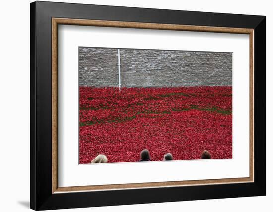 'Blood Swept Lands and Seas of Red', Tower of London, 2014-Sheldon Marshall-Framed Photographic Print