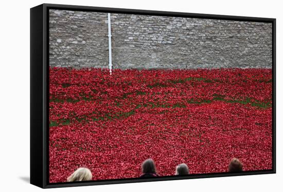 'Blood Swept Lands and Seas of Red', Tower of London, 2014-Sheldon Marshall-Framed Stretched Canvas