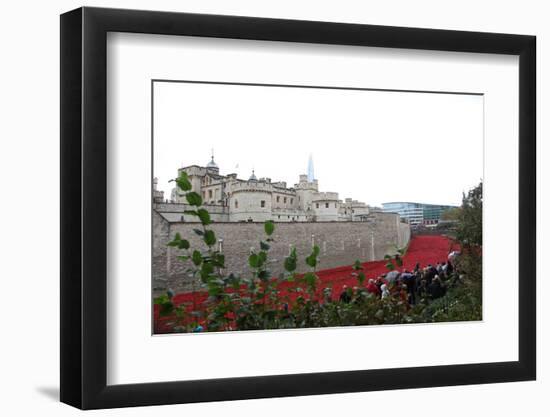 'Blood Swept Lands and Seas of Red', Tower of London, 2014-Sheldon Marshall-Framed Photographic Print