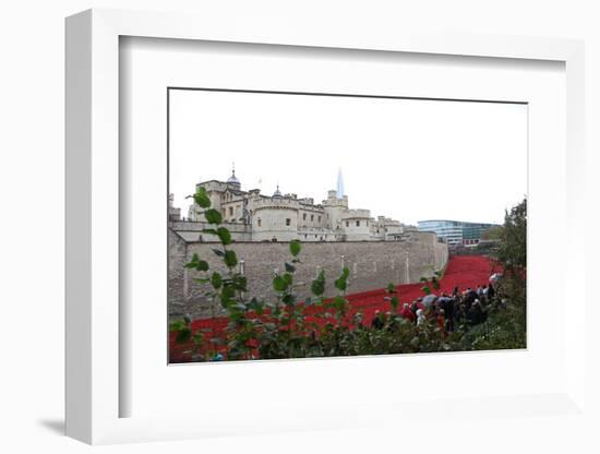 'Blood Swept Lands and Seas of Red', Tower of London, 2014-Sheldon Marshall-Framed Photographic Print