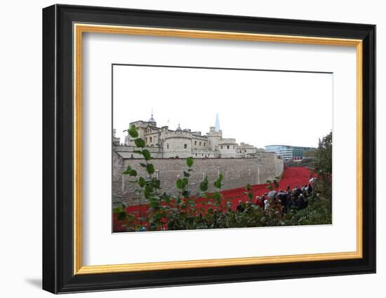 'Blood Swept Lands and Seas of Red', Tower of London, 2014-Sheldon Marshall-Framed Photographic Print