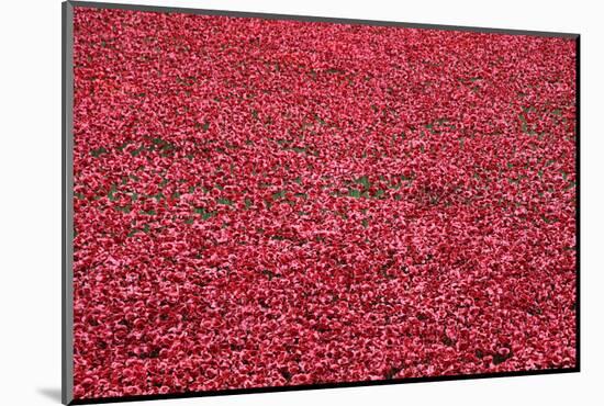 'Blood Swept Lands and Seas of Red', Tower of London, 2014-Sheldon Marshall-Mounted Photographic Print