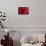 Blood Vessel, Artwork-David Mack-Framed Premier Image Canvas displayed on a wall