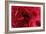 Blood Vessel, Artwork-David Mack-Framed Photographic Print