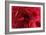 Blood Vessel, Artwork-David Mack-Framed Photographic Print