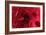 Blood Vessel, Artwork-David Mack-Framed Photographic Print