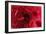 Blood Vessel, Artwork-David Mack-Framed Photographic Print