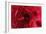 Blood Vessel, Artwork-David Mack-Framed Photographic Print