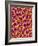 Blood Vessel Cast from Colon of a Rat-Micro Discovery-Framed Photographic Print