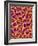 Blood Vessel Cast from Colon of a Rat-Micro Discovery-Framed Photographic Print