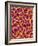 Blood Vessel Cast from Colon of a Rat-Micro Discovery-Framed Photographic Print