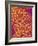 Blood Vessel Cast from Rat Colon-Micro Discovery-Framed Photographic Print