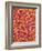 Blood Vessel Cast from Rat Colon-Micro Discovery-Framed Photographic Print