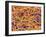 Blood Vessel Cast, SEM-Susumu Nishinaga-Framed Photographic Print