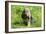 Bloodhound 02-Bob Langrish-Framed Photographic Print