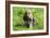 Bloodhound 02-Bob Langrish-Framed Photographic Print