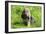 Bloodhound 02-Bob Langrish-Framed Photographic Print