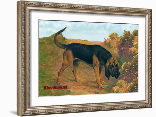 Bloodhound Champion-null-Framed Art Print