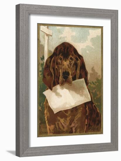 Bloodhound Holding Blank Paper in its Mouth-null-Framed Art Print