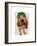 Bloodhound Sherlock Holmes-Fab Funky-Framed Premium Giclee Print