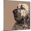 Bloodhound-Emily Burrowes-Mounted Art Print