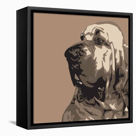 Bloodhound-Emily Burrowes-Framed Stretched Canvas