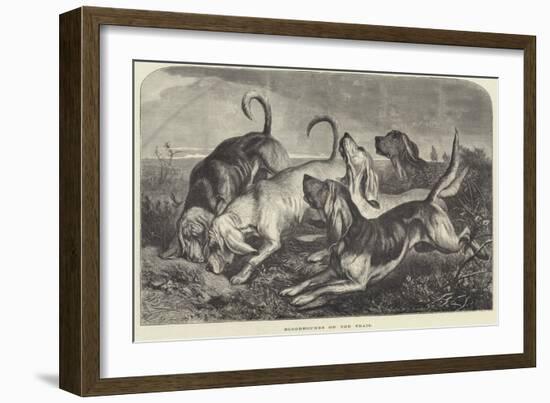 Bloodhounds on the Trail-George Bouverie Goddard-Framed Giclee Print