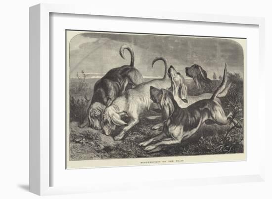 Bloodhounds on the Trail-George Bouverie Goddard-Framed Giclee Print