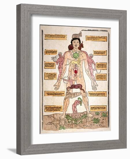 Bloodletting Chart, 1493-Johannes De Ketham-Framed Giclee Print