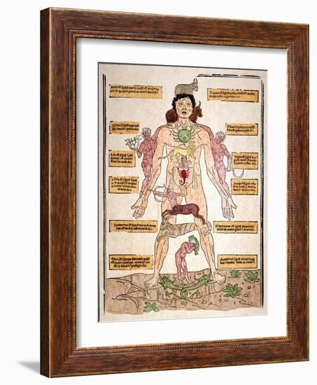 Bloodletting Chart, 1493-Johannes De Ketham-Framed Giclee Print