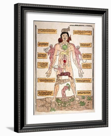 Bloodletting Chart, 1493-Johannes De Ketham-Framed Giclee Print