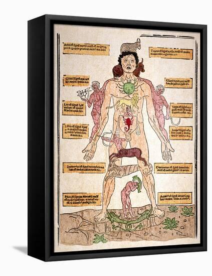 Bloodletting Chart, 1493-Johannes De Ketham-Framed Premier Image Canvas