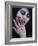 Bloodletting-Maria J Campos-Framed Photographic Print