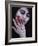 Bloodletting-Maria J Campos-Framed Photographic Print