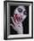 Bloodletting-Maria J Campos-Framed Photographic Print