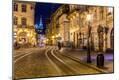 Photographic Print