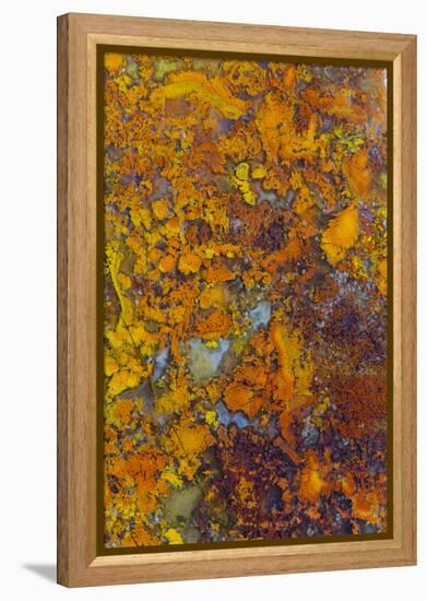 Bloody Basin Agate, AZ-Darrell Gulin-Framed Premier Image Canvas