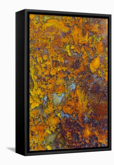 Bloody Basin Agate, AZ-Darrell Gulin-Framed Premier Image Canvas