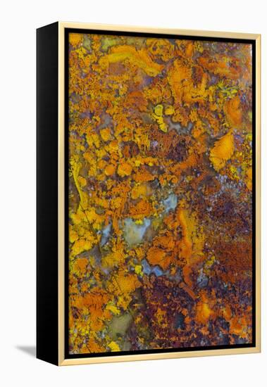 Bloody Basin Agate, AZ-Darrell Gulin-Framed Premier Image Canvas