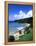 Bloody Bay, Tobago, Caribbean-Angelo Cavalli-Framed Premier Image Canvas