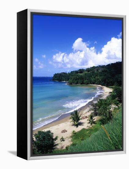 Bloody Bay, Tobago, Caribbean-Angelo Cavalli-Framed Premier Image Canvas