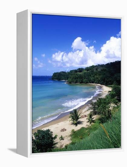 Bloody Bay, Tobago, Caribbean-Angelo Cavalli-Framed Premier Image Canvas