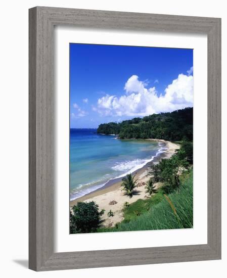 Bloody Bay, Tobago, Caribbean-Angelo Cavalli-Framed Photographic Print