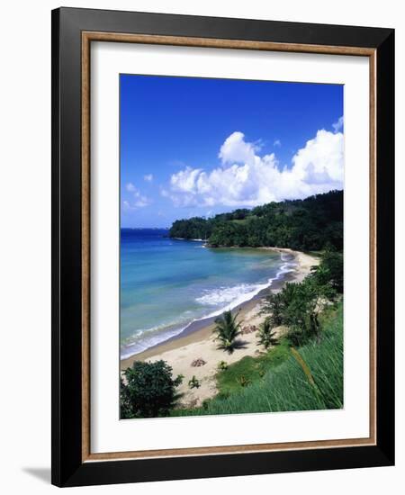 Bloody Bay, Tobago, Caribbean-Angelo Cavalli-Framed Photographic Print