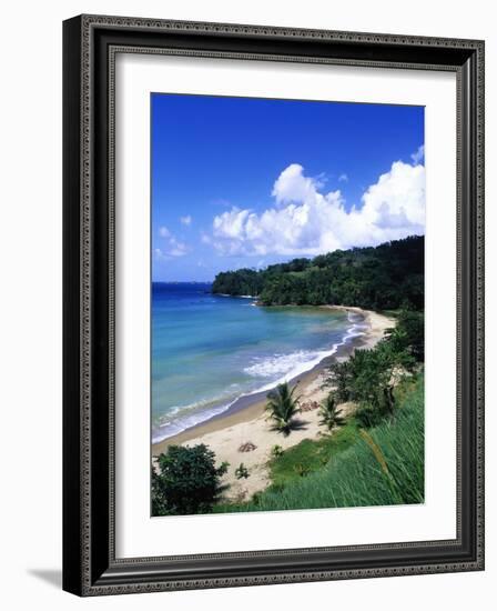 Bloody Bay, Tobago, Caribbean-Angelo Cavalli-Framed Photographic Print